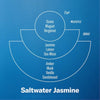 PF Candle - Saltwater Jasmine - RhoolCandlesP.F CandlesPF Candle - Saltwater Jasmine